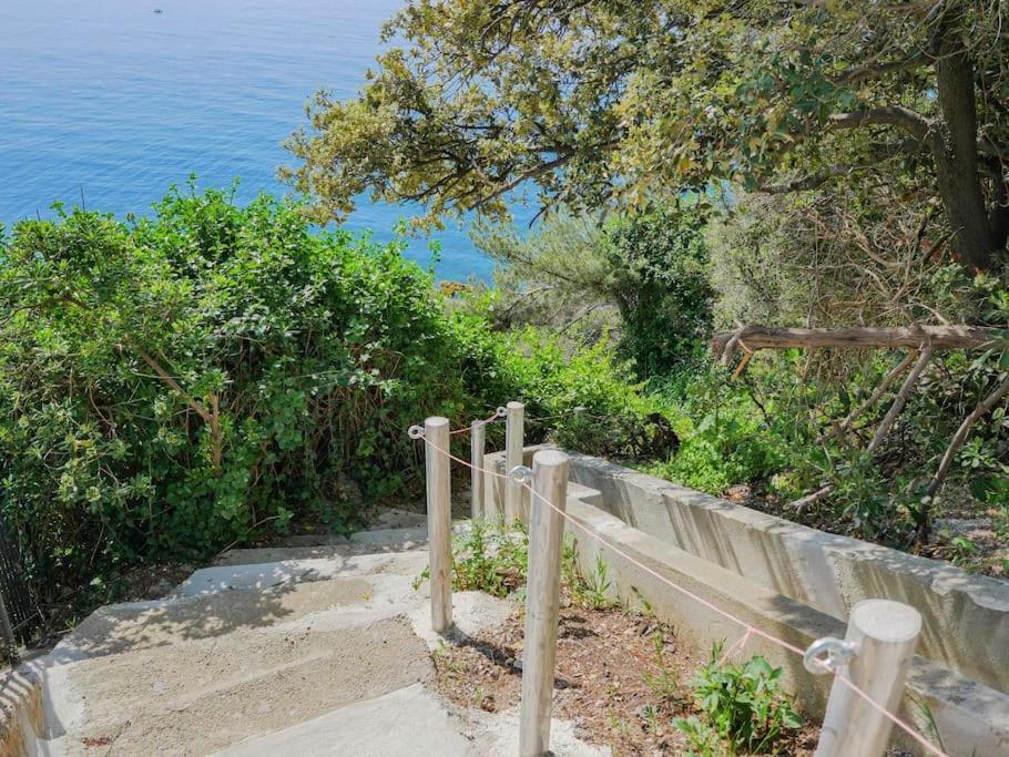 Maisonnette Avec Vue Sur La Mer Exceptionnelle Carqueiranne Extérieur photo